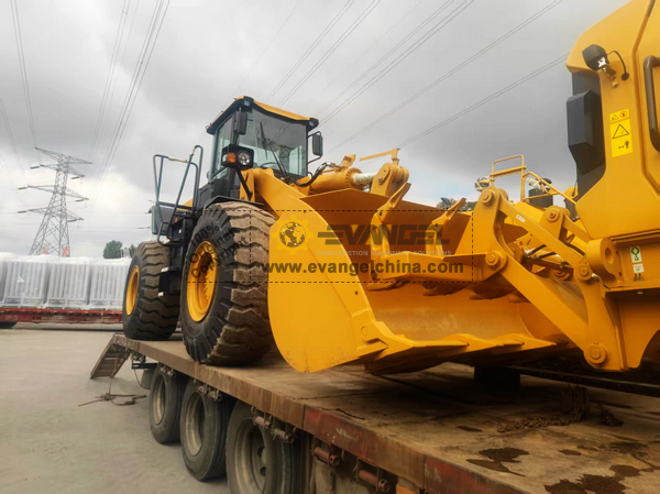 SEM SEM655D Wheel Loader