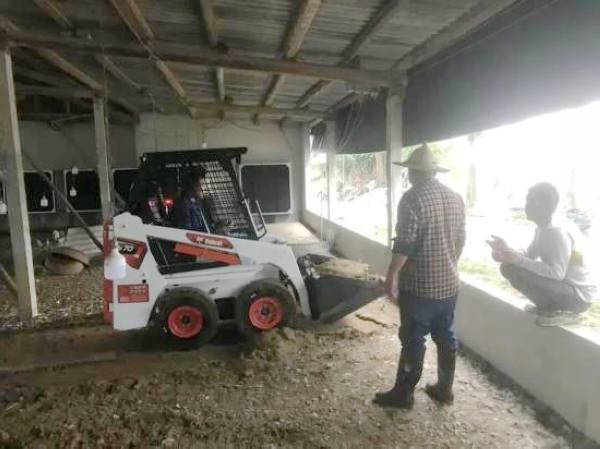 Skid Steer or Mini Excavator? A Practical Equipment Selection Guide
